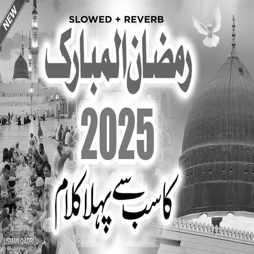 Ramzan Ke Roze Hoon (Lofi-Mix)
