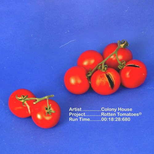 Rotten Tomatoes