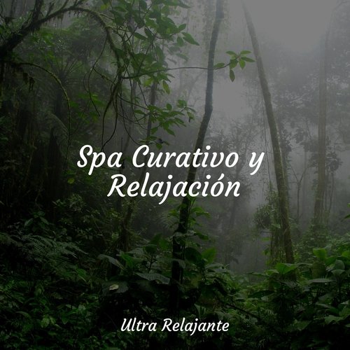 Spa Curativo y Relajación