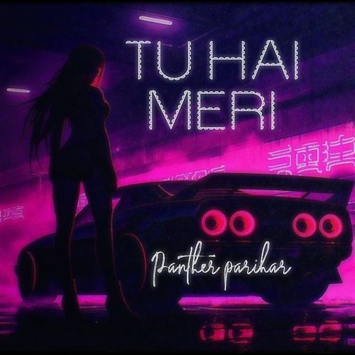 TU HAI MERI