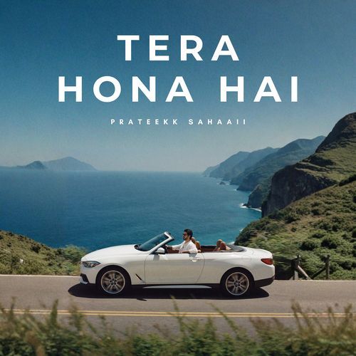 Tera Hona Hai