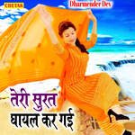 Teri Surat Ghayal Kar Gai