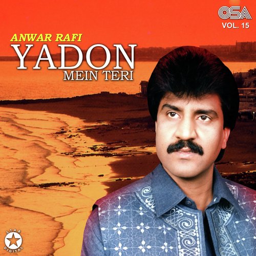 Yadon Mein Teri, Vol. 15