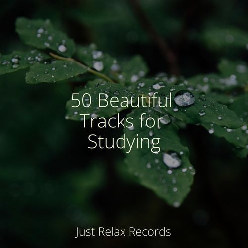 50 Beautiful Tracks for Studying