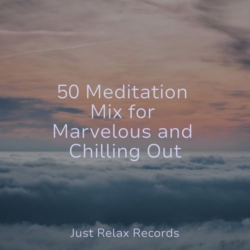 50 Meditation Mix for Marvelous and Chilling Out_poster_image