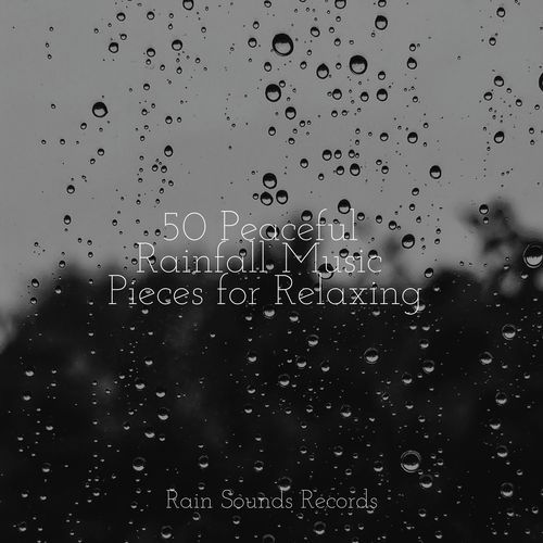 50 Peaceful Rainfall Music Pieces for Relaxing