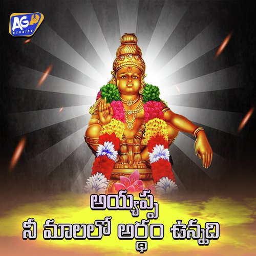 Ayyappa Ne Maalalo Ardham Unnadi