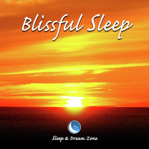 Nocturnal Sunshine cover art