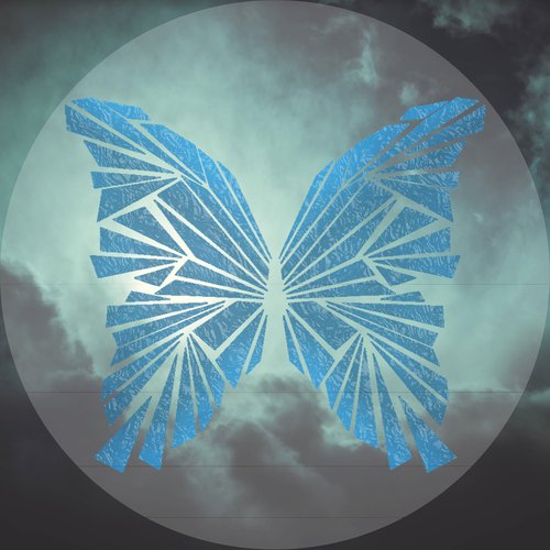 Butterfly cover art