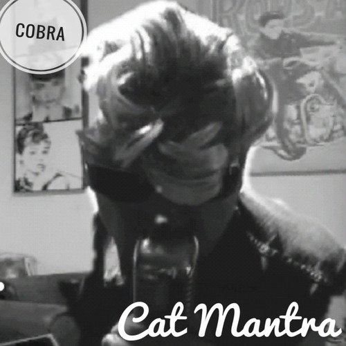 Los Banditos cover art