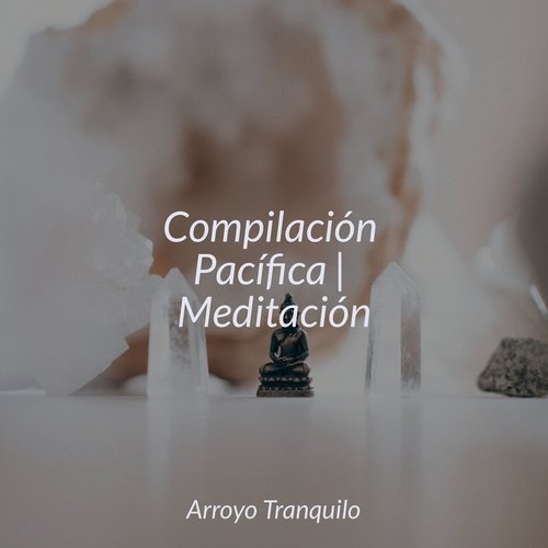 Compilación Pacífica | Meditación_poster_image