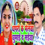 Dhaparee Ke Melava Ghumae D Saiya