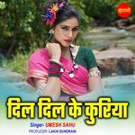 Dil Dil Ke Kuriya