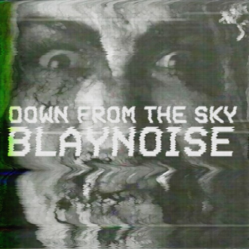 Blaynoise