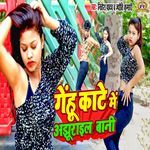 Gehu Kaate Me Ajhurail Baani