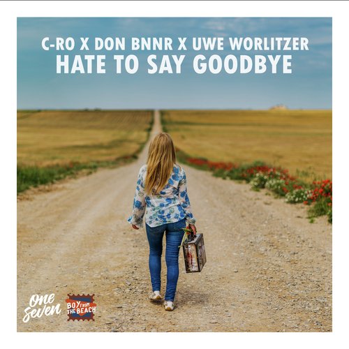 Hate to Say Goodbye_poster_image