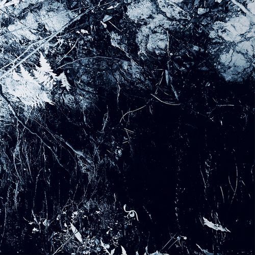 I Am King (Extended Version) cover art