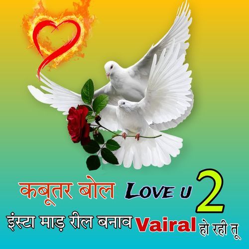 Kabutar Bol Love U 2 Insta Mad Reel Bnav Vairal Ho Rahi Tu