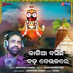 Kalia Basichi Bada Deulare