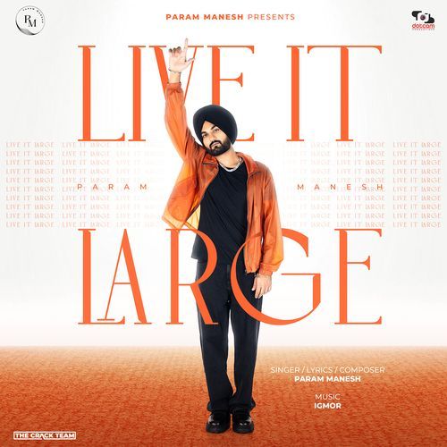 Live It Large_poster_image