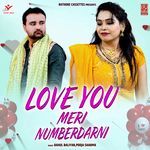 Love You Meri Numberdarni