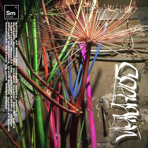 Now I Know Everything cover art
