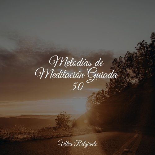 Melodías de Meditación Guiada 50_poster_image