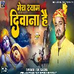 Mera Shyam Diwana Hai