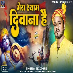 Mera Shyam Diwana Hai