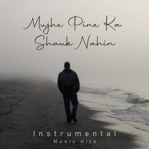 Mujhe Pine Ka Shauk Nahin (From "Coolie" / Instrumental Music Hits)