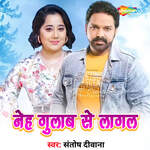 Neh Gulab Se Lagal