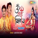 Om Namah Shivay Shiv Tadav