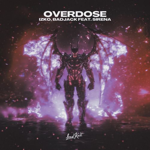 Overdose (Extended Mix)