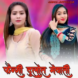 फैन्सी दुलोत मेवाती