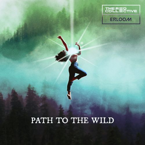 Path To The Wild cover art