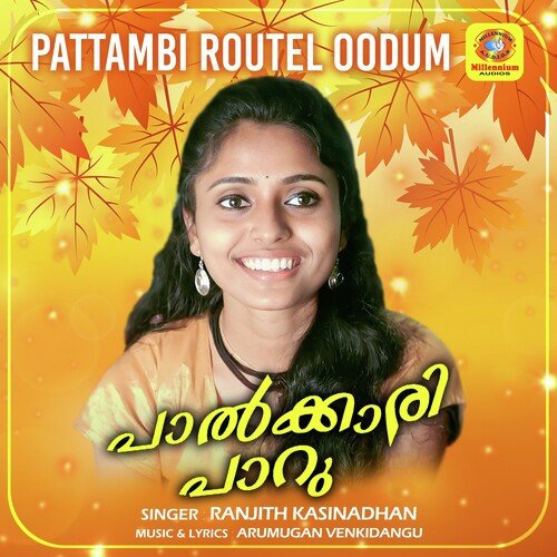 Pattambi Routel Oodum (From &quot;Palkkari Paru&quot;)_poster_image