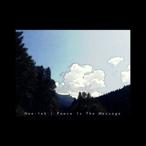 Peace Is The Message (Deep Nae Dub Remix) cover art