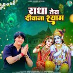 Radha Tera Diwana Shyam