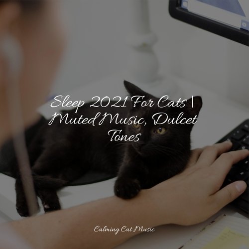 Sleep 2021 For Cats | Muted Music, Dulcet Tones