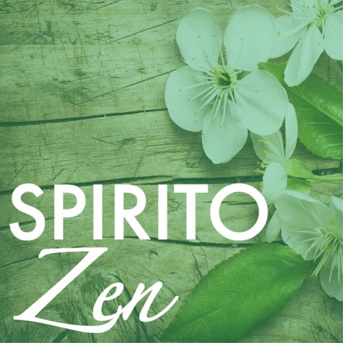 Meditazione Tibetana cover art