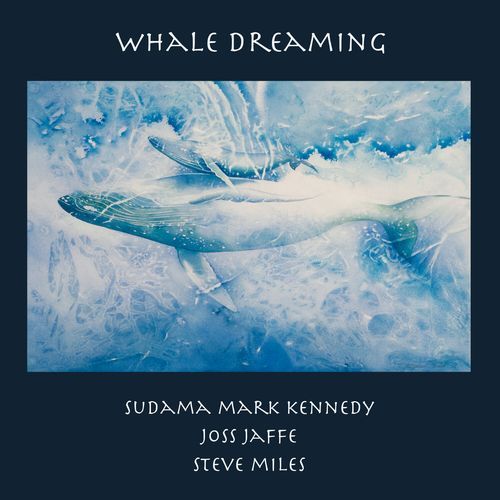 Whale Dreaming