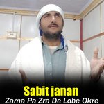 Zama Pa Zra De Lobe Okre