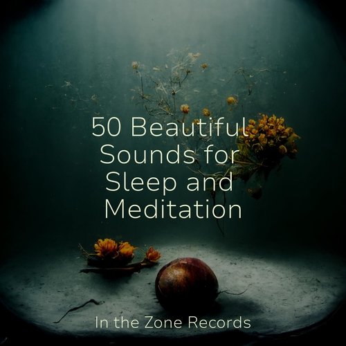 50 Beautiful Sounds for Sleep and Meditation