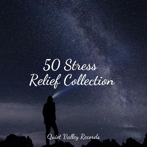 50 Stress Relief Collection