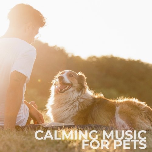 Calming Music For Pets
