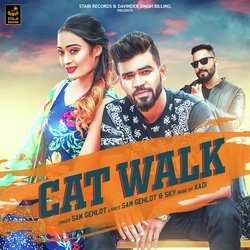 Cat Walk-CQpbBCdYRlY