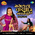 Chamakta Tarla Ne Andhari Raato Che