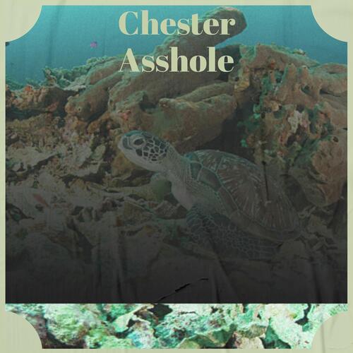 Ruiz cover art