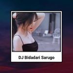 DJ BIDADARI SARUGO MINANG BREAKBEAT