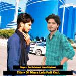 Dil Mhara Ladu Pudi Kha L